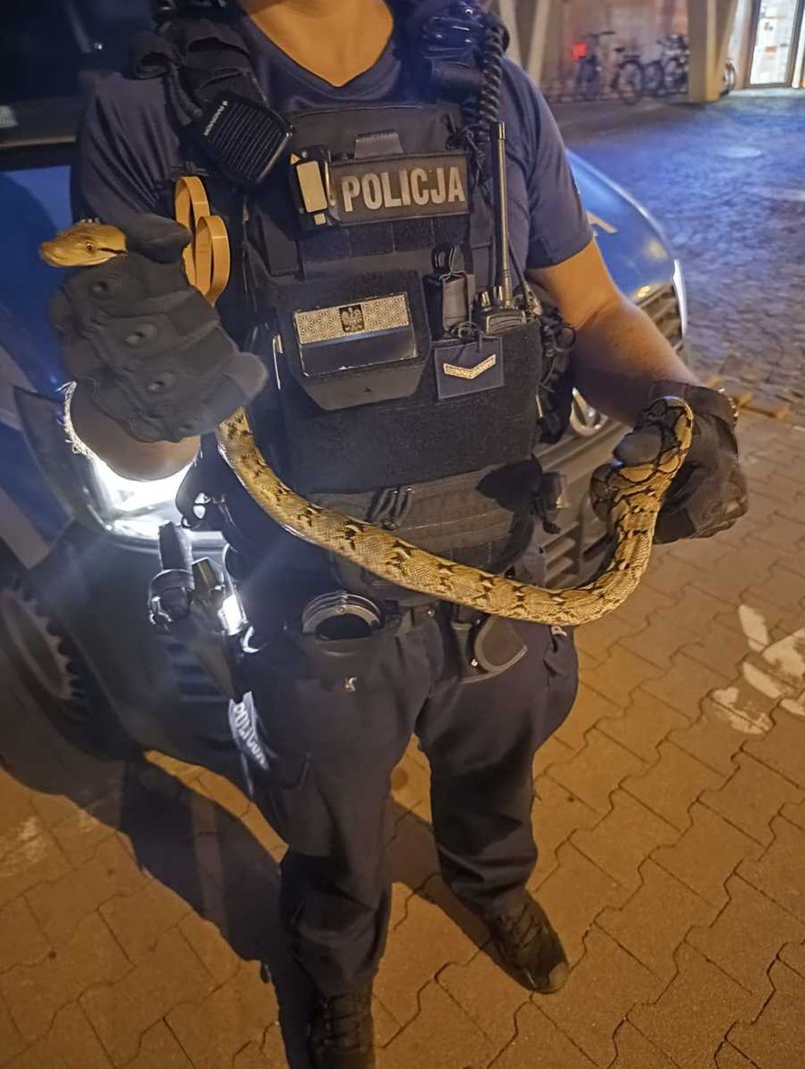 Stalowowolscy policjanci pomogli w odnalezieniu ... węża!