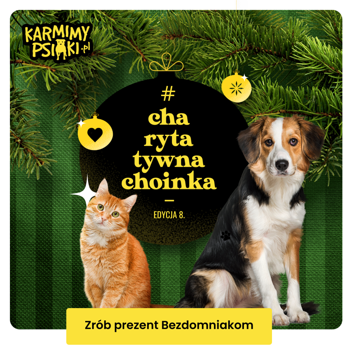 To już 8. edycja akcji #CharytatywnaChoinka – karmimy psiaki