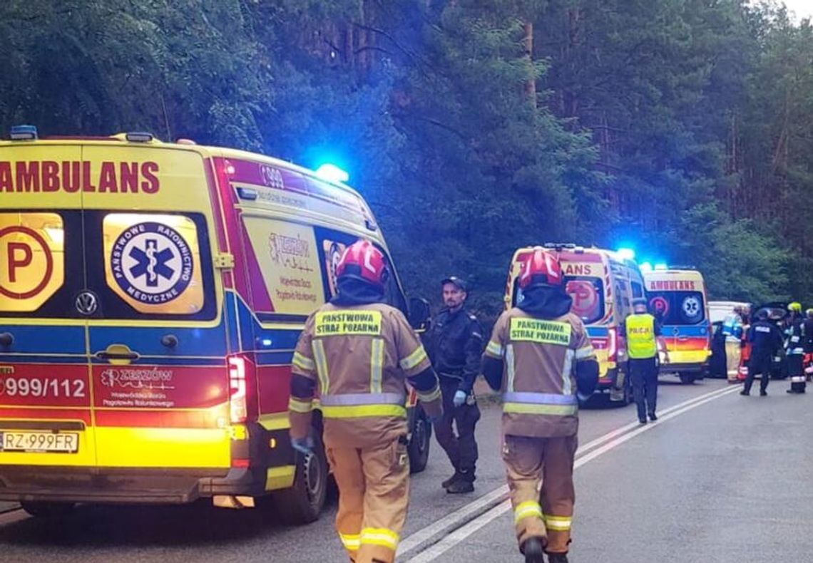 Tragiczny wypadek w Kurzynie Małej. Zginął 24-letni kierowca, pięć osób rannych