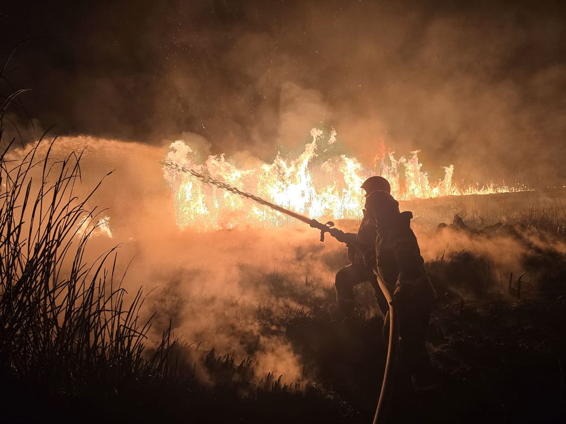Trawy w ogniu. Strażacy z Podkarpacia interweniowali setki razy w jeden weekend Trawy w ogniu. Strażacy z Podkarpacia interweniowali setki razy w jeden weekend