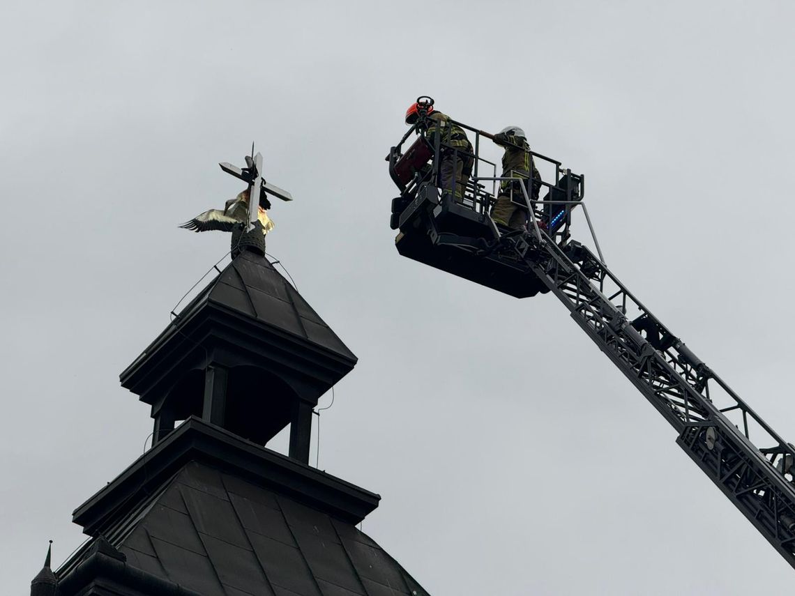 Uratowano bociana uwięzionego na dachu kościoła w Świlczy - Kamyszynie