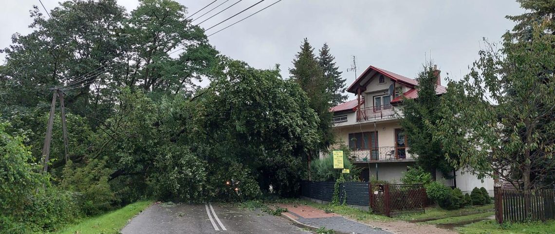 Usuwanie skutków burz na Podkarpaciu. Połamane drzewa, zalane drogi i posesje [FOTO]