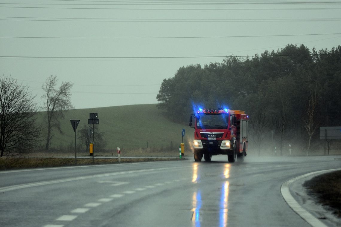 Usuwanie skutków burz na Podkarpaciu. Zalane domy, połamane drzewa i braki w dostawie prądu [VIDEO]