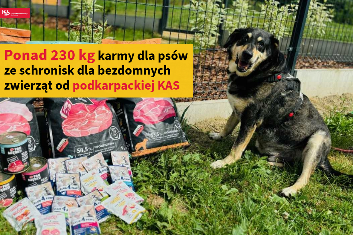 Wielkie serca podkarpackiej KAS dla psów ze schronisk [FOTO]