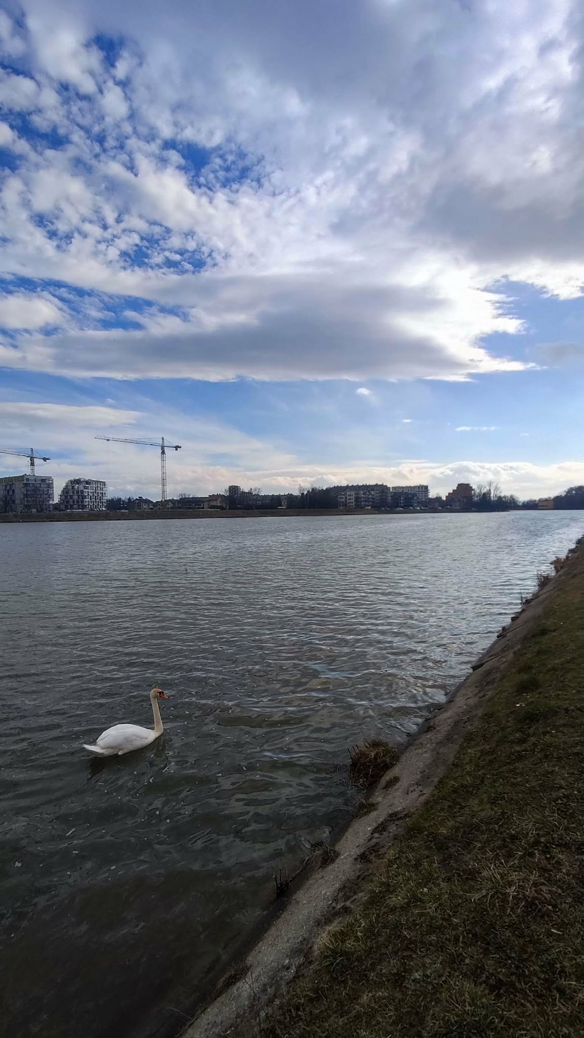 Wielkie sprzątanie brzegów Wisłoka. Rzeszowscy społecznicy ruszają do akcji w ramach Operacji Czysta Rzeka Wielkie sprzątanie brzegów Wisłoka. Rzeszowscy społecznicy ruszają do akcji w ramach Operacji Czysta Rzeka