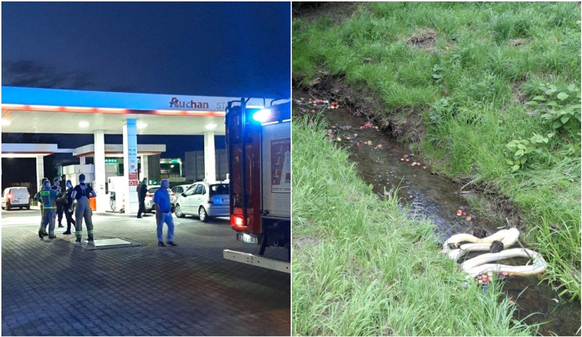 Zanieczyszczenie Młynówki w Rzeszowie. Wyciek paliwa ze stacji Auchan trafił do potoku!