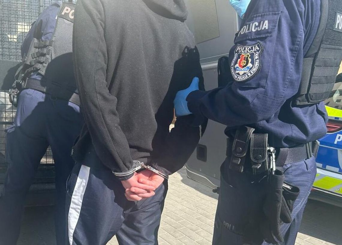 Zarzut szczególnego okrucieństwa znęcania się nad psem