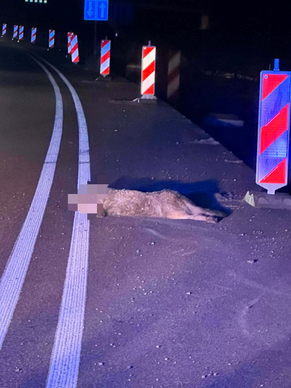 Zderzenie samochodu ze zwierzyną na S19 w rejonie Jasionki