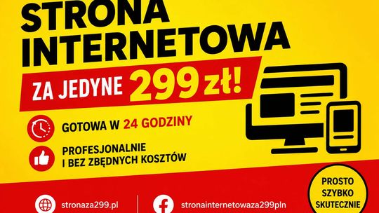 299 zł, 24 godziny i darmowy projekt strony WWW