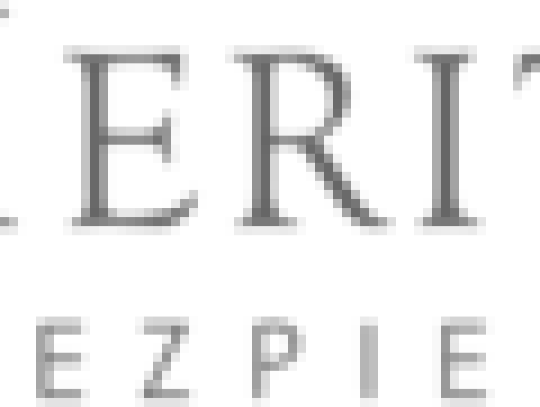 meritum logo