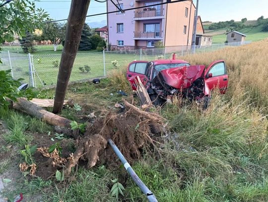Poważny wypadek na Podkarpaciu. Auto wyrwało drzewo z korzeniami! [ZDJĘCIA]