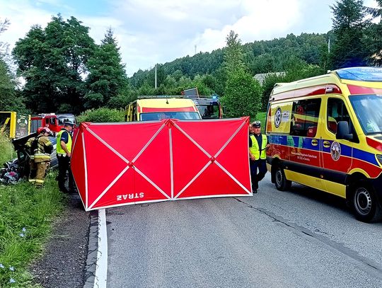 Poważny wypadek na Podkarpaciu. Zakleszczona kobieta w samochodzie [ZDJĘCIA]