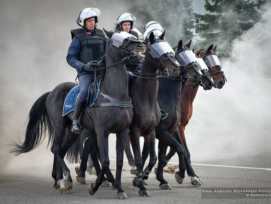 Policyjne konie z Podkarpacia zdały egzamin. Bary i Wag po raz pierwszy w służbie [FOTO]