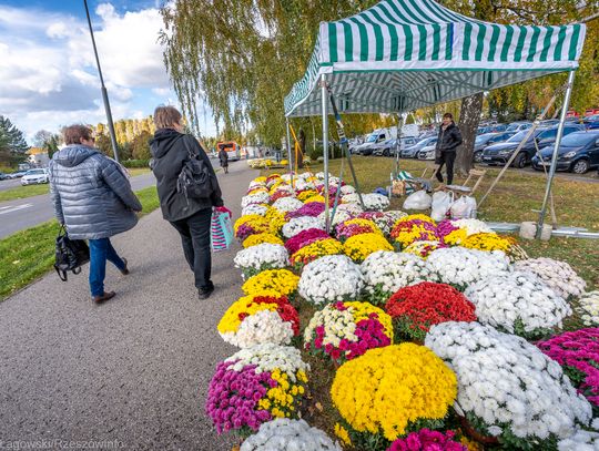 Mieszkańcy Rzeszowa szykują się do Wszystkich Świętych [FOTORELACJA]