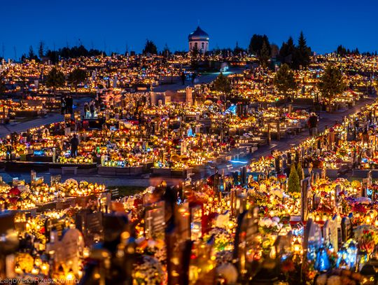 Cmentarz Komunalny Wilkowyja w Rzeszowie pokryty tysiącami zniczy [ZDJĘCIA]