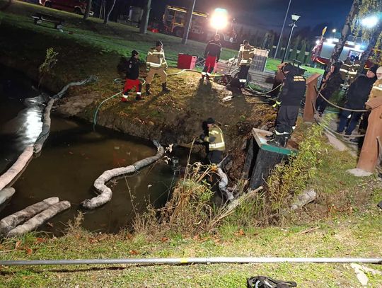 Usuwanie skutków zanieczyszczenia stawu Skrzynczyna [ZDJĘCIA]