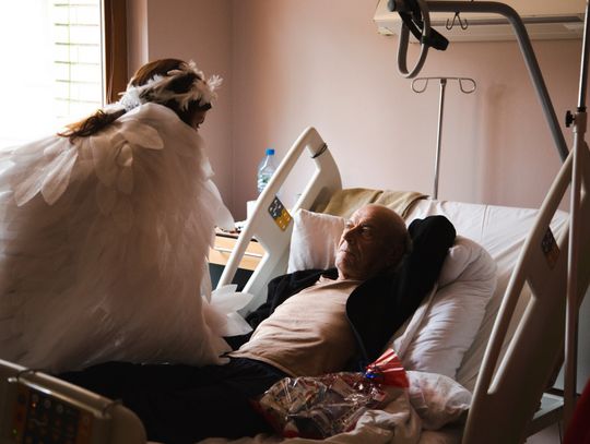 Dobro, które wraca – świąteczna akcja Sanitas w USK Rzeszów [ZDJĘCIA]