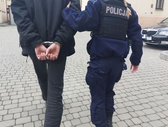 W Rzeszowie zatrzymano magazyniera, który kradł przesyłki kurierskie