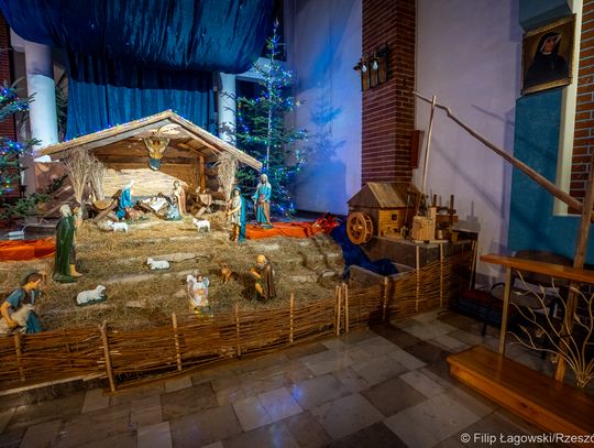 Szopka w kościele pw. św. Rodziny w Rzeszowie