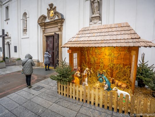 Szopka przed kościołem św. Krzyża