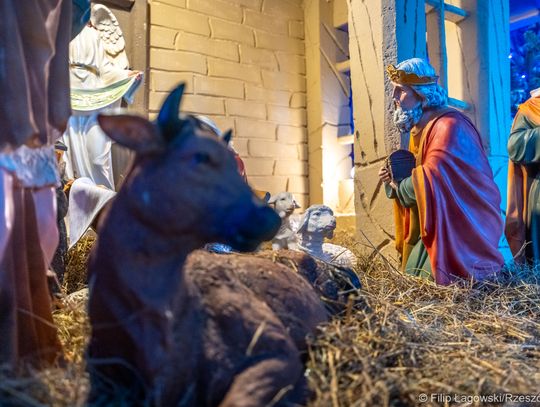 Kościół Opatrzności Bożej