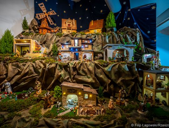 Szopka w katedrze rzeszowskiej