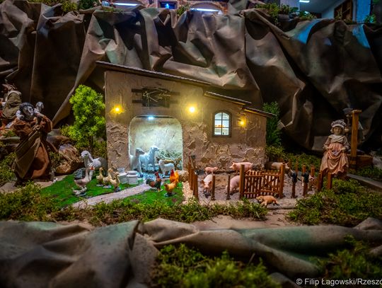Szopka w katedrze rzeszowskiej