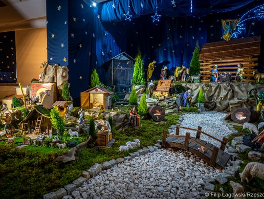 Szopka w katedrze rzeszowskiej