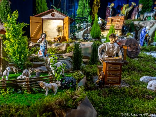 Szopka w katedrze rzeszowskiej