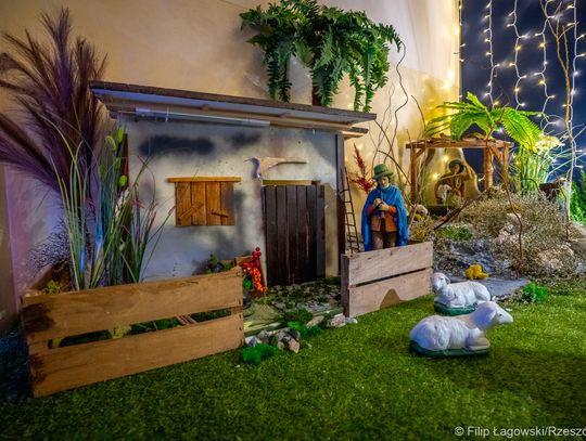 Kościół pw. Judy Tadeusza