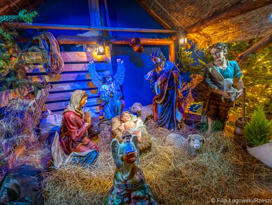 Kościół pw. bł. Karoliny