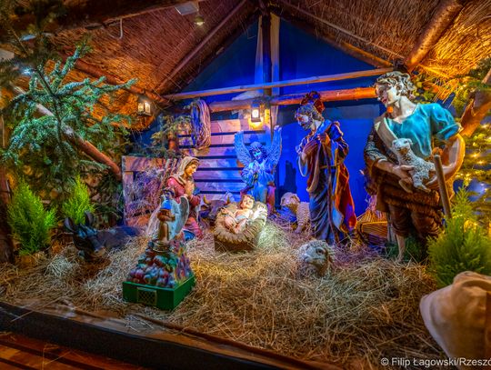 Kościół pw. bł. Karoliny