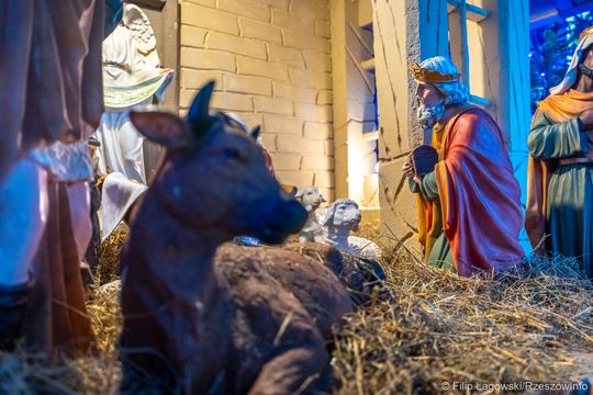 Kościół Opatrzności Bożej