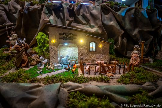 Szopka w katedrze rzeszowskiej