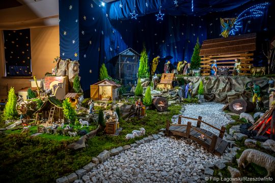 Szopka w katedrze rzeszowskiej