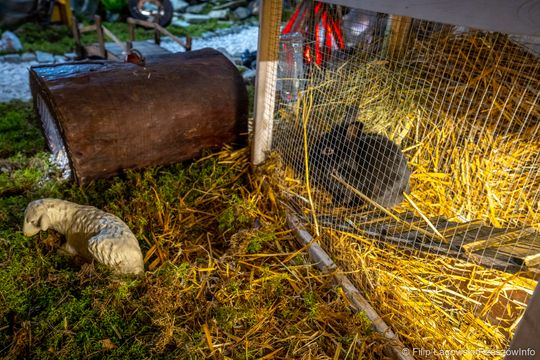 Szopka w katedrze rzeszowskiej