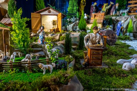 Szopka w katedrze rzeszowskiej