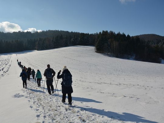 Klub Turystyki Górskiej przy Oddziale PTTK w Rzeszowie