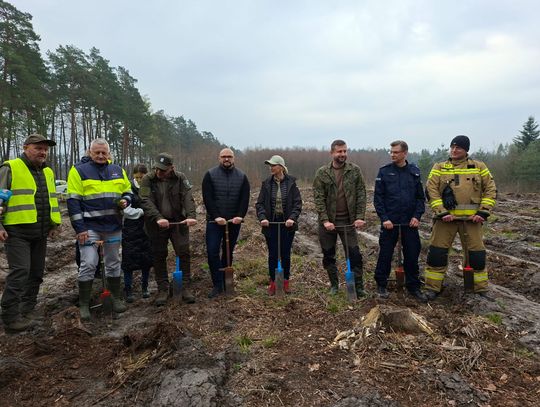 V Otwarte Sadzenie Lasu w Leśnictwie Bratkowice [ZDJĘCIA]