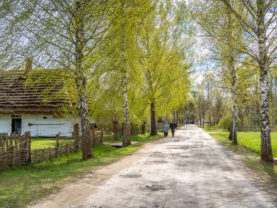 Odpust ku czci św. Marka w skansenie – tradycja, muzyka i wspólne świętowanie [FOTORELACJA]