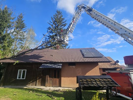 Strażacy interweniowali już ponad 90 razy z powodu silnego wiatru [ZDJĘCIA]