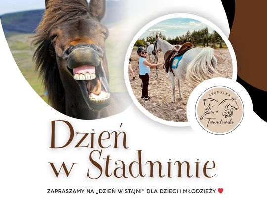 Rzeszowska 167, Dzikowiec