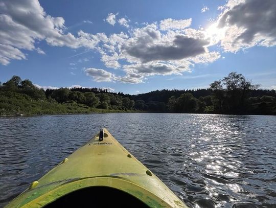 Pole Namiotowe „Homiczówka” Jabłonica Ruska