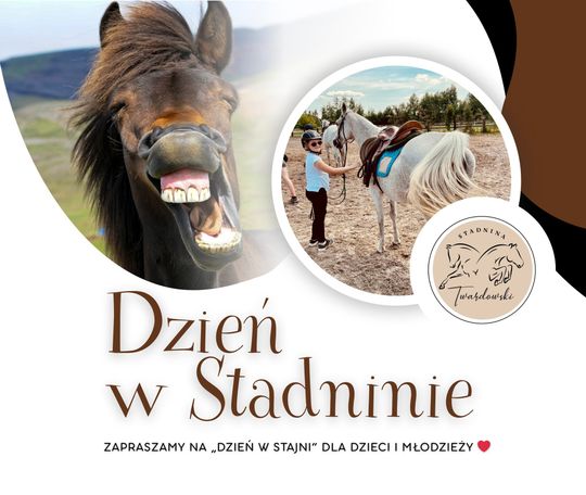 Rzeszowska 167, Dzikowiec