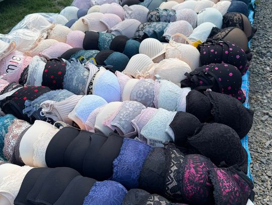 Słoneczna gieła w Sokołowie Młp. Masa rzeczy do kupienia [ZDJĘCIA]