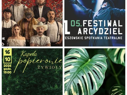 Nasze propozycje wydarzeń nadchodzącego weekendu 16-18 października